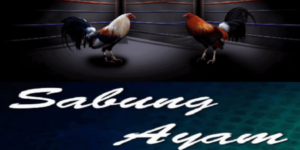 Daftar Service Sabung Ayam Online 2021